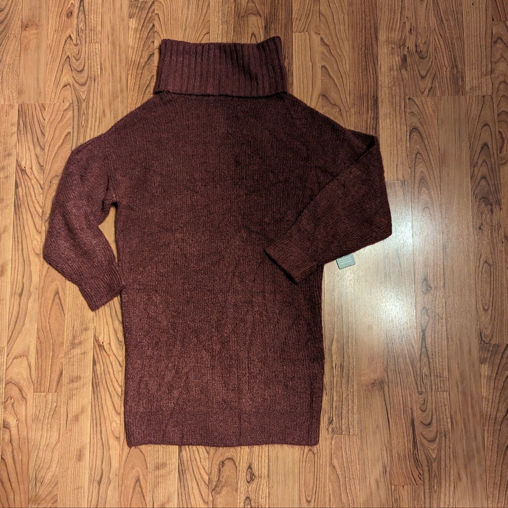 Express Turtleneck Sweater Dress in Brown, Size XS